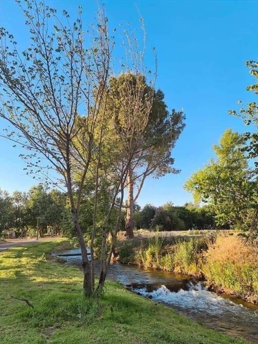 Apartamento קסם של אירוח Hagoshrim Exterior foto